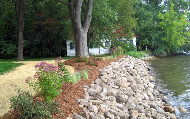 entrance planting